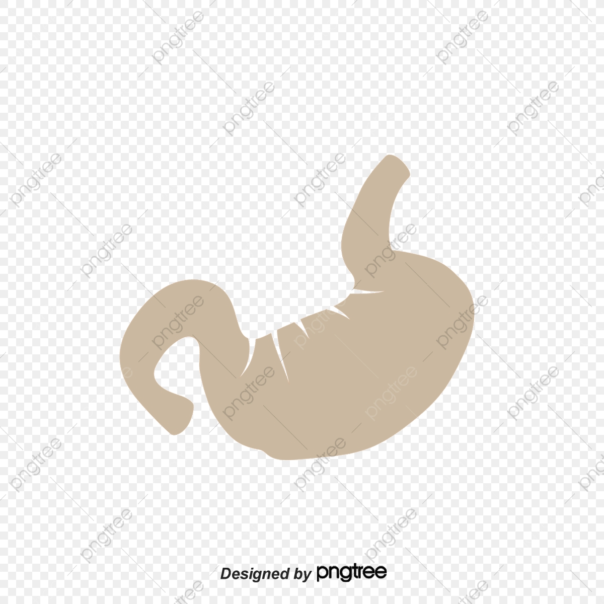 1200x1200 Stomach Vector Material, Stomach, Creative Stomach, Vector Stomach