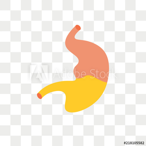 500x500 Stomach Vector Icon Isolated On Transparent Background, Stomach