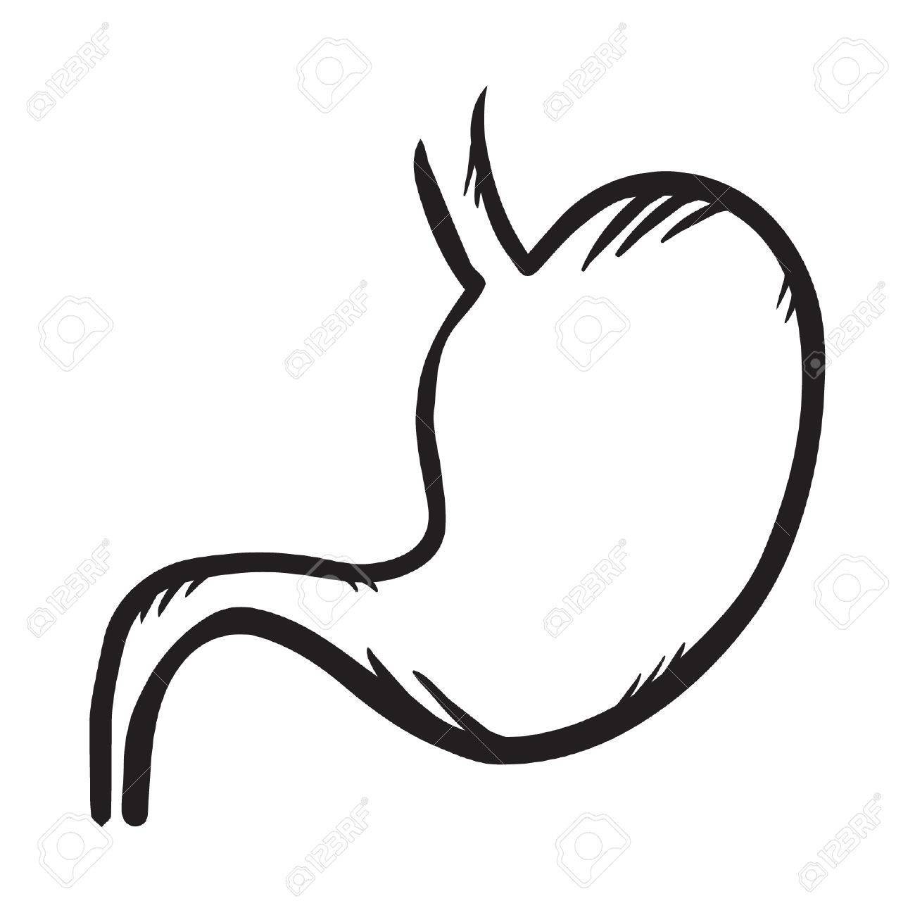 1300x1300 Stomach Vector Illustration Black On White Clipart Portal