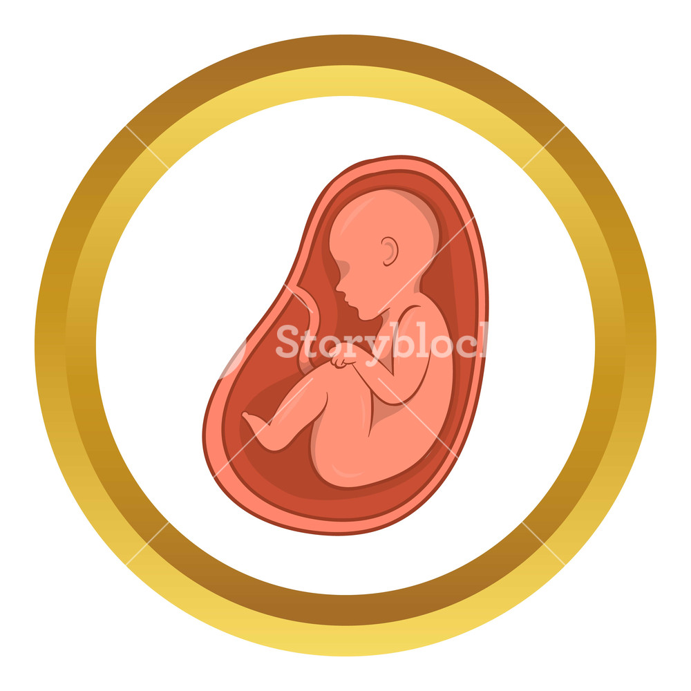 1000x1000 Embryo In Stomach Vector Icon In Golden Circle, Cartoon Style