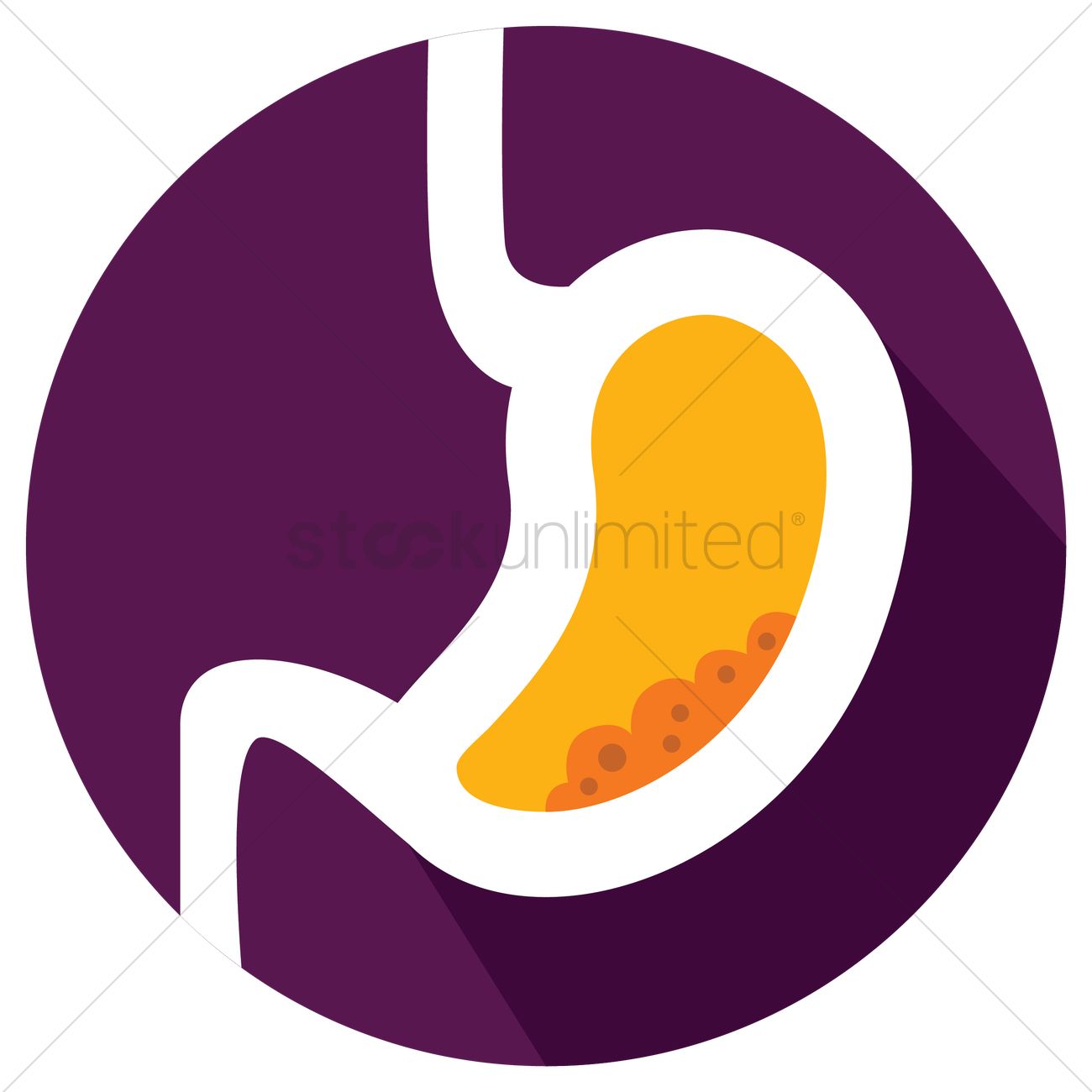 1300x1300 Free Human Stomach Vector Image