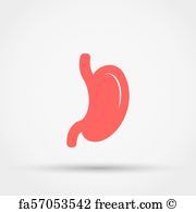 180x195 Free Stomach Vector Art Prints And Wall Artwork Freeart