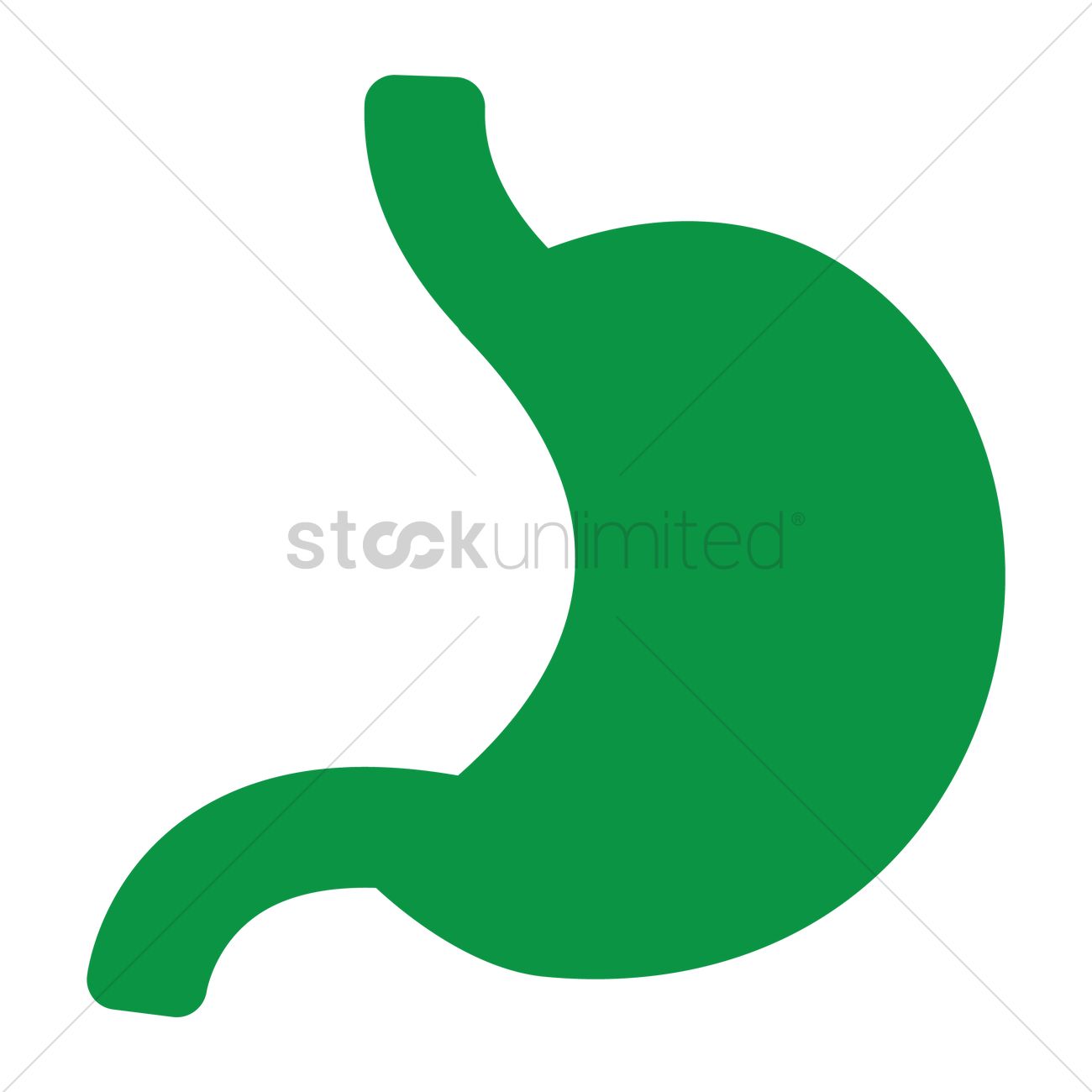 1300x1300 Free Stomach Vector Image