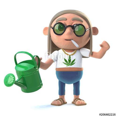 500x500 Stoner Hippie Waters His Plants Stock Image And Royalty Free