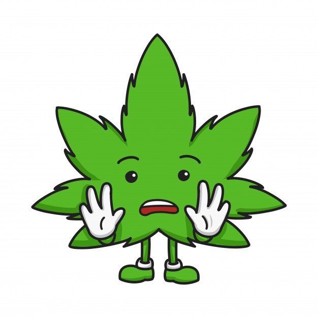 Stoner Vector at Vectorified.com | Collection of Stoner Vector free for ...