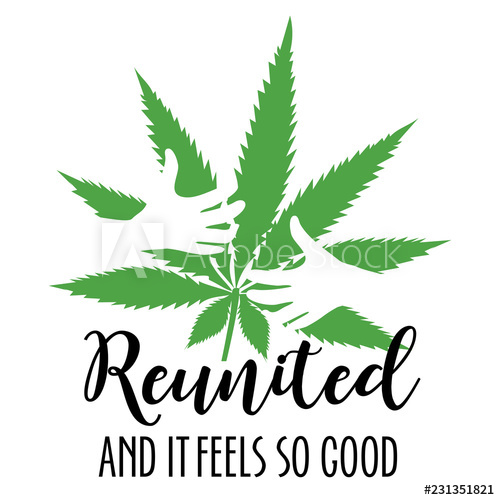 500x500 Cannabis Leaf Legalization Graphic Of Stoner Hugging Marijuana