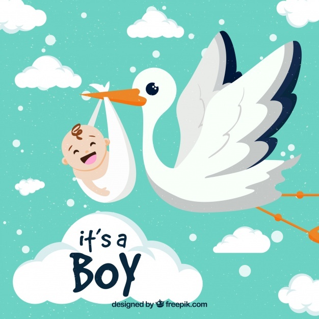 626x626 Stork Vectors, Photos And Free Download