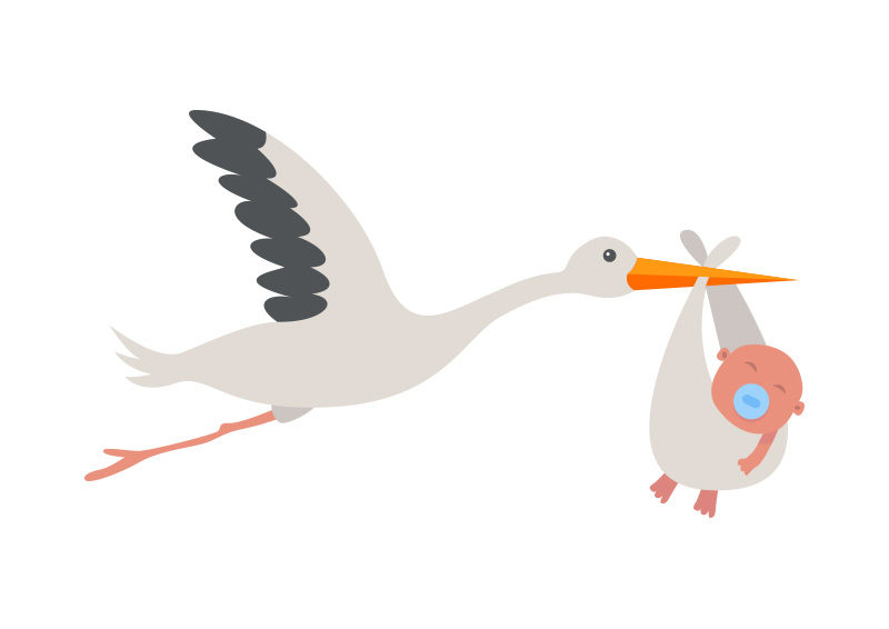 800x566 Stork With Baby Vector Illustration