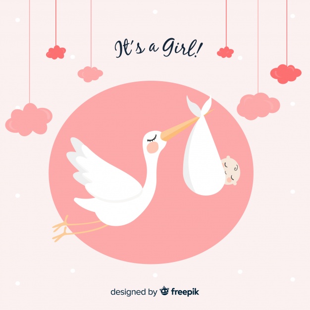 626x626 Stork Baby Shower Cards Collection Vector Free Download