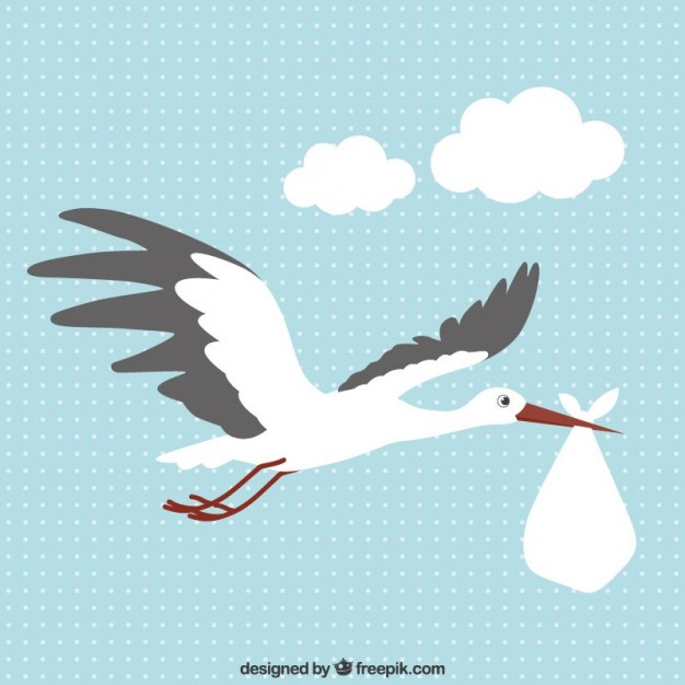 626x626 Stork With A Baby Vector Free Download