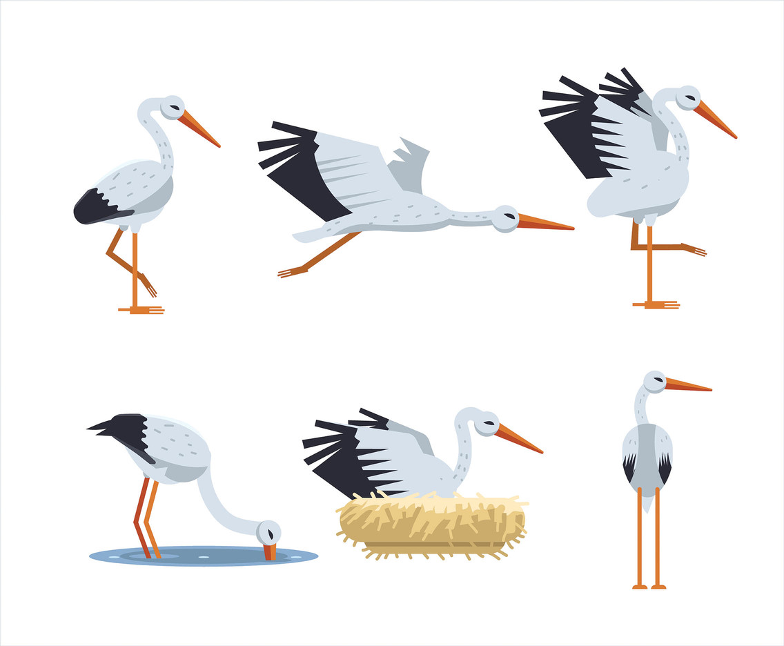 1136x936 Stork Vector In Flat Design Vector Art Graphics