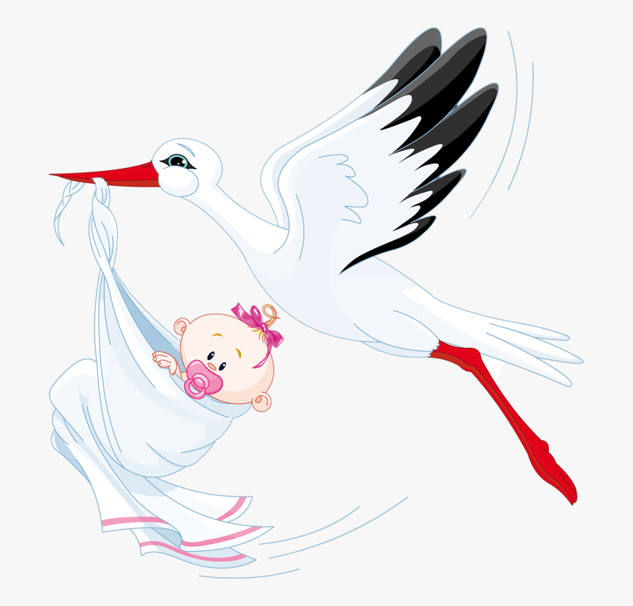 920x880 Stork Vector Retro