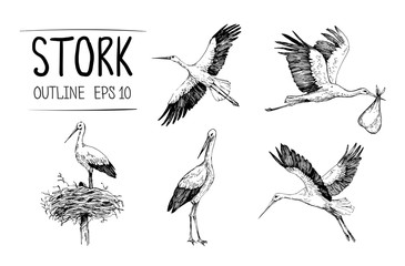 365x240 Stork Vector Photos, Royalty Free Images, Graphics, Vectors