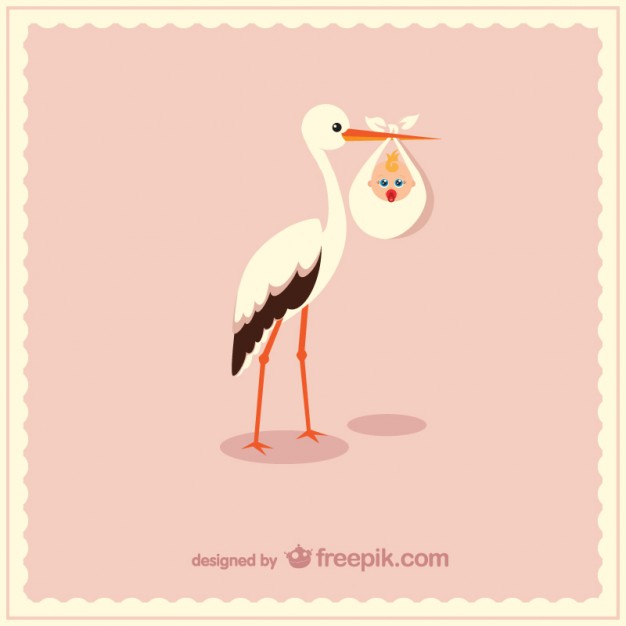 626x626 Stork Vectors, Photos And Free Download