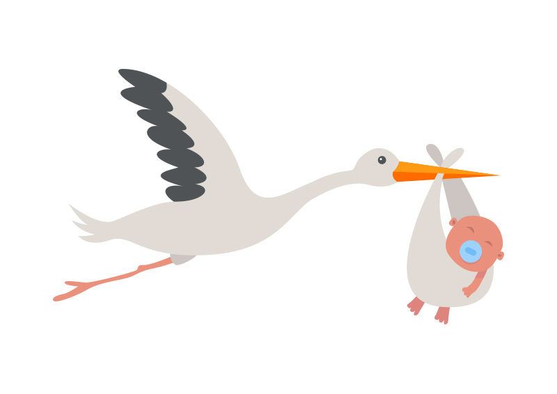 800x566 Stork With Baby Vector Illustration Flat Vectors In Stork