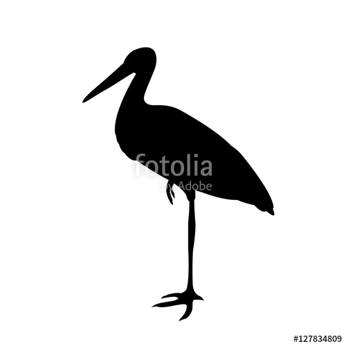 500x500 Stork Vector Illustration Black Silhouette Stock Image