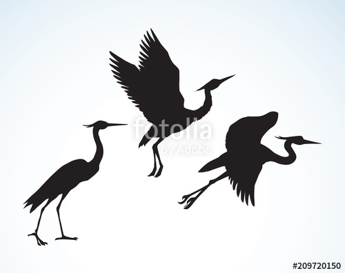 500x396 Stork Vector Drawing Stock Image And Royalty Free Vector