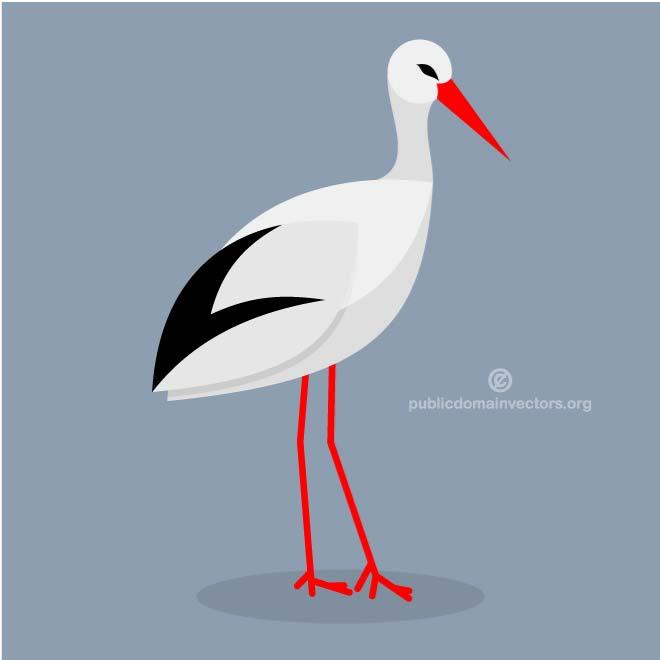 660x660 White Stork