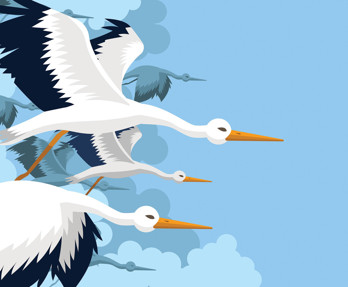 1136x936 Flying Stork Vector Vector Art Graphics