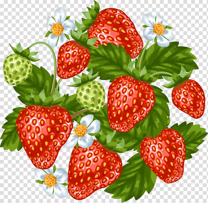 strawberry drawing