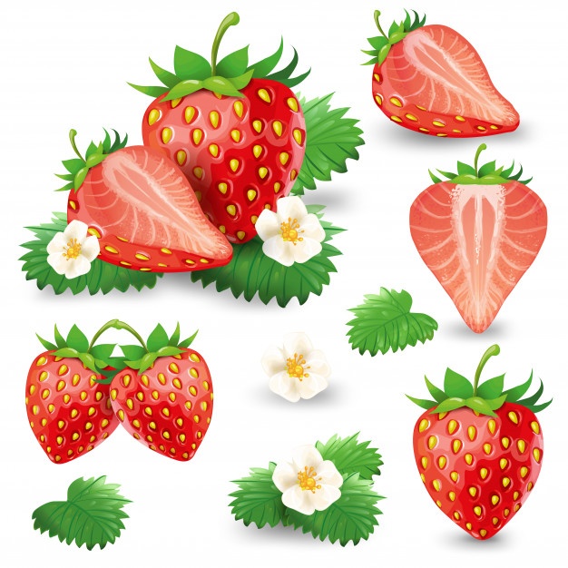626x626 Strawberry Vectors, Photos And Free Download
