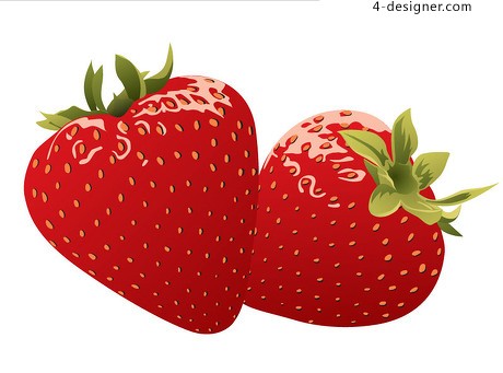Strawberry Vector
