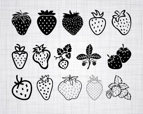 570x456 Strawberry Bundle Strawberry Strawberry Clipart Cut Etsy