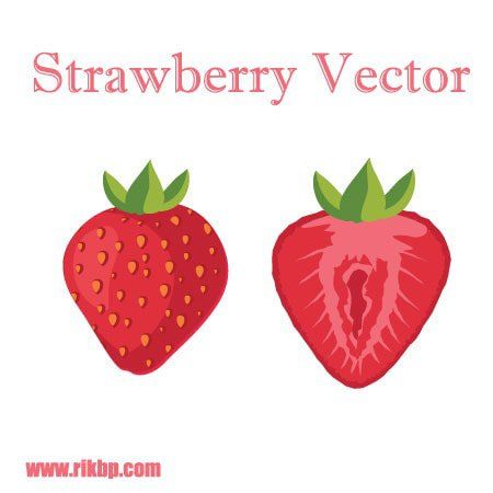 450x450 Art Strawberry Vector Illustration Free Downloads Free Vector