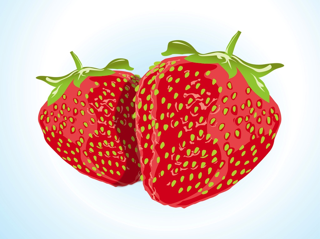 1024x767 Strawberry Vector Vector Art Graphics