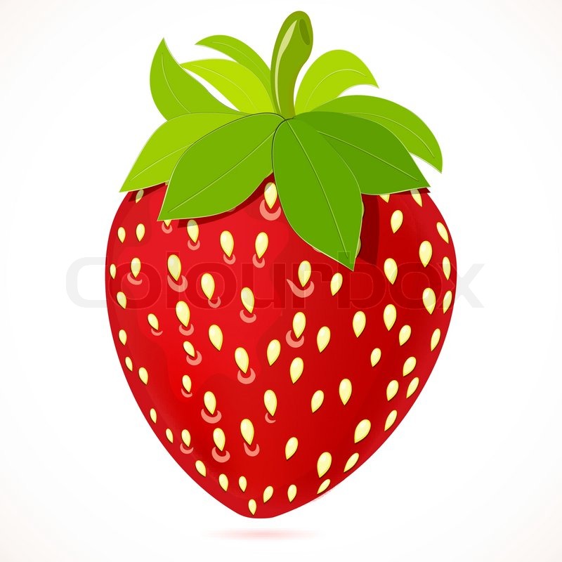 800x800 Strawberry Vector Illustration Stock Vector Colourbox