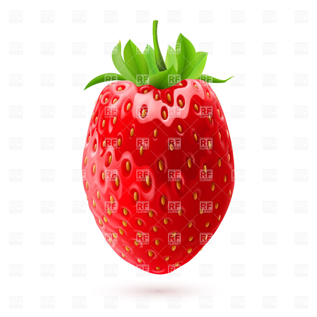 Strawberry Vector at Vectorified.com | Collection of Strawberry Vector