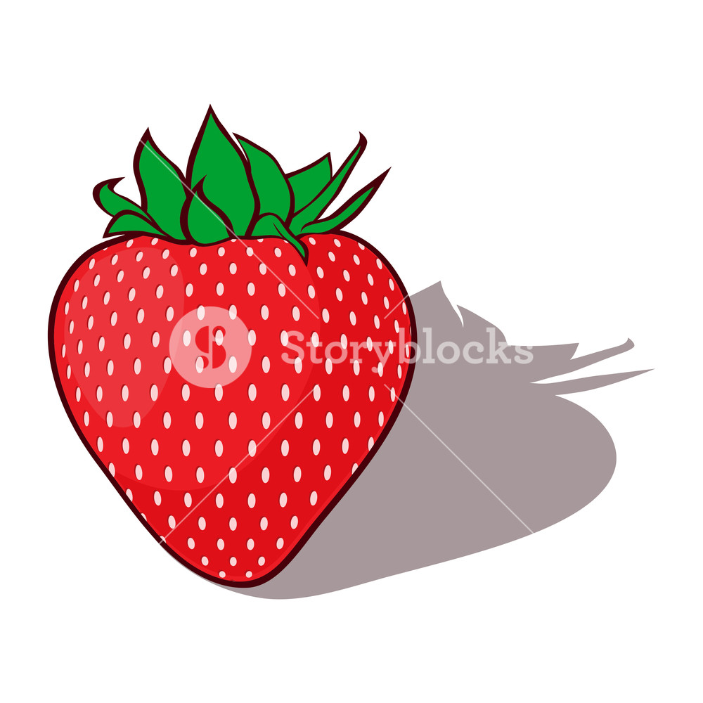 1000x1000 Red Katoon Strawberries Vector Illustration Royalty Free Stock