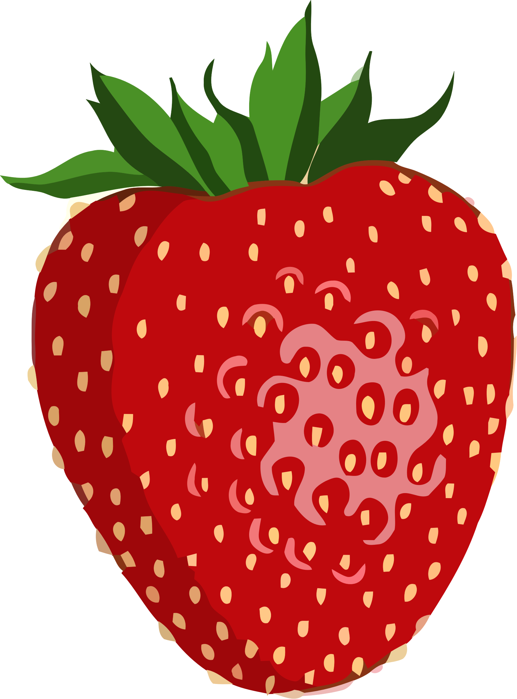1652x2234 Shiny Strawberry Vector Graphic Image