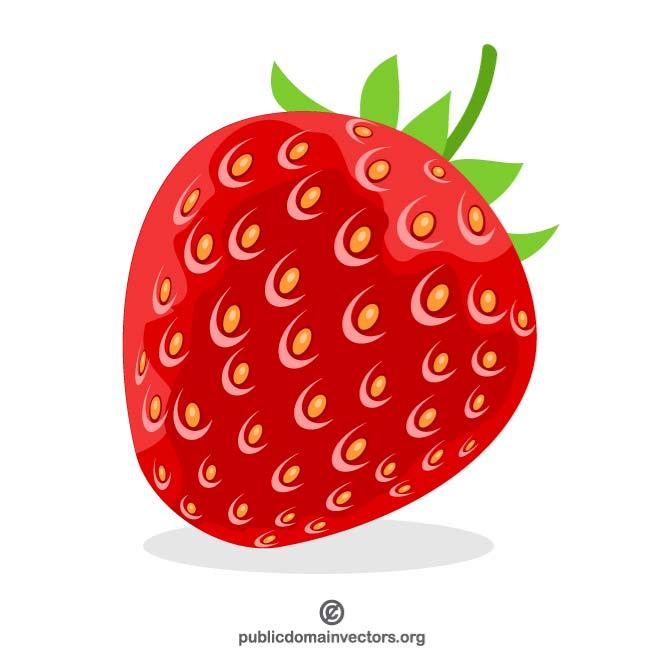 660x660 Red Strawberry Vector Image