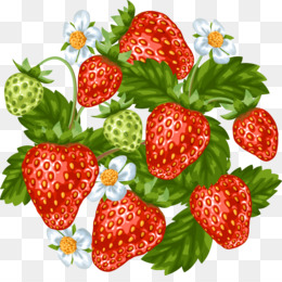 Strawberry Vector Png 260x260 Strawberry Vector Png
