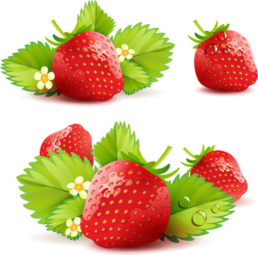 Strawberry Free Vector Free Vector Download 373x368 Strawberry Free Vector Free Vector Download