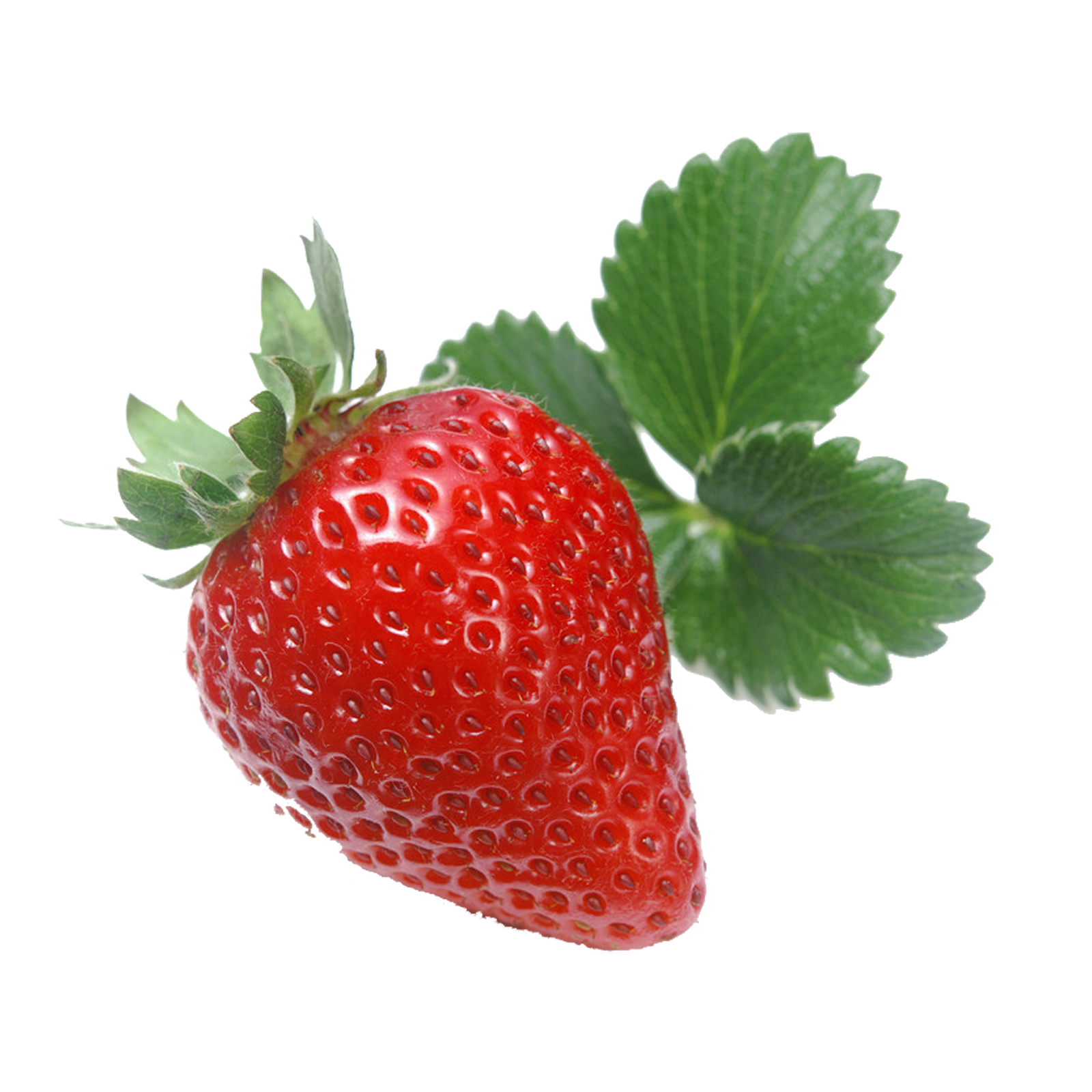 Strawberry Vector Png at Vectorified.com | Collection of Strawberry