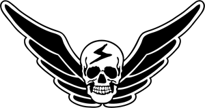 300x159 Street Fighter Logo Vector