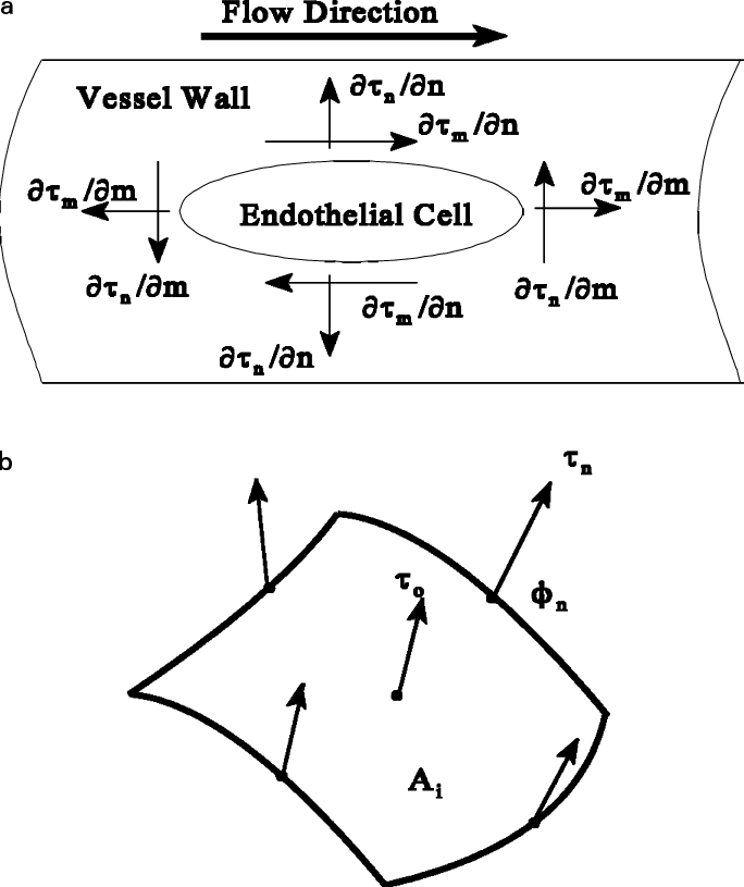 684x815 Wall Shear Stress Vector Representations For Computation