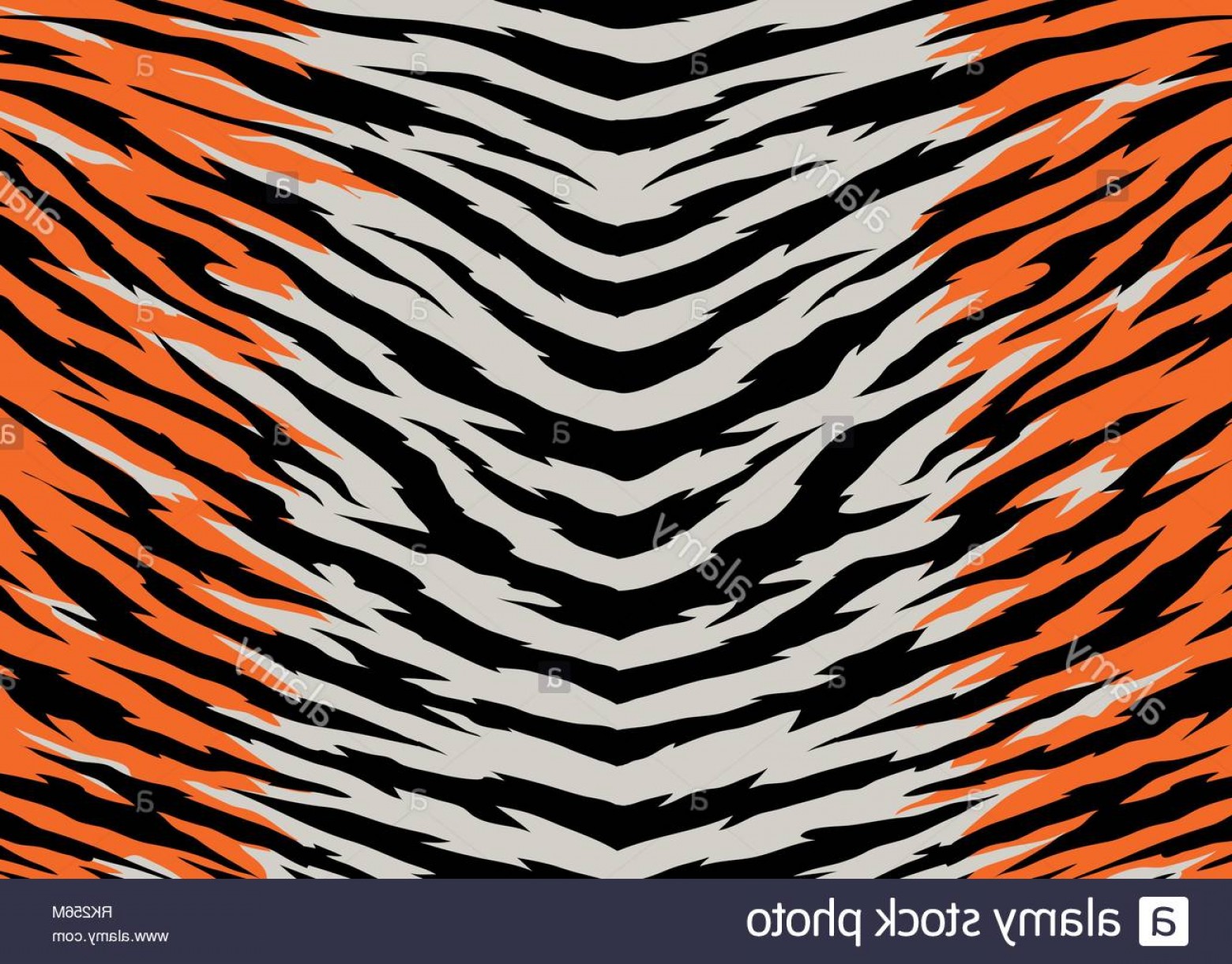 1560x1221 Tiger Stripes Pattern Design Vector Illustration Background