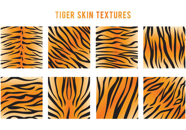632x443 Tiger Stripe Vector Free Vector Download Cannypic