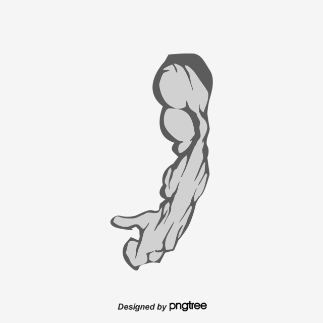 Download Free Png Strong Left Arm, Powerful, Strong, Arm Png 640x640 Download Free Png Strong Left Arm, Powerful, Strong, Arm Png