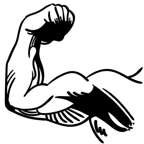 Strong Arm Flex Vector 490x490 Strong Arm Flex Vector