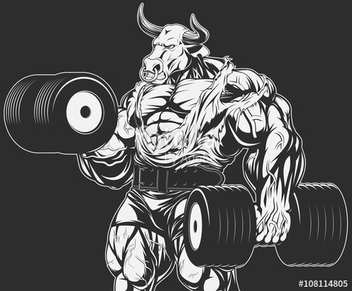 500x413 Strong Bull With Dumbbells Stock Image And Royalty Free Vector