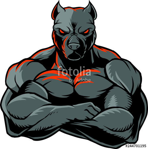 498x500 Strong Pit Bull Stock Image And Royalty Free Vector