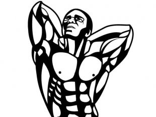 Strong Man Vector Image Free Vectors Ui Download 310x233 Strong Man Vector Image Free Vectors Ui Download