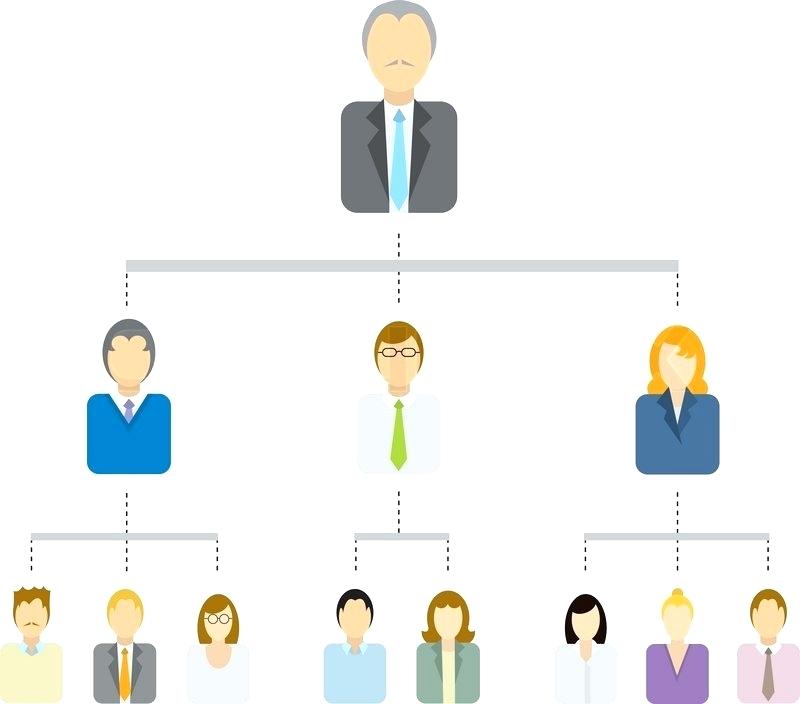 800x704 Hierarchical Tree Diagram Business Structure Vector Company