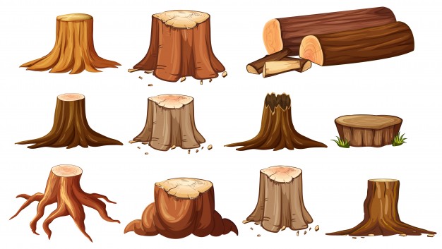 626x353 Different Shapes Of Stump Trees Vector Premium Download