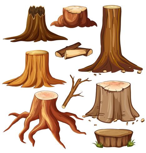 467x490 Different Stump Trees On White Background Vector