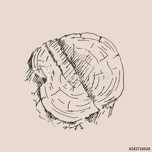 500x500 Hand Drawn Tree Stump Vector Illustration